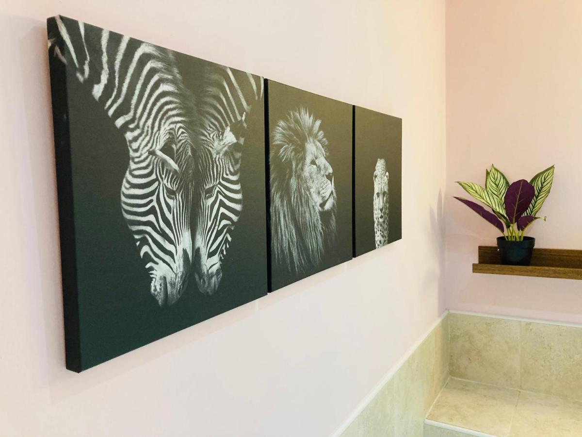 Jungle Escape, City Apartment With Parking & Terrace Chester Eksteriør bilde